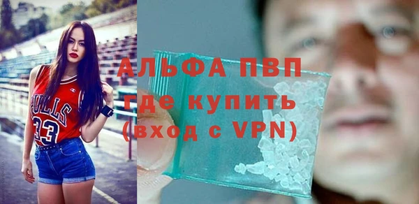 гидра Алексеевка