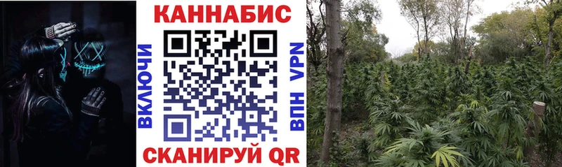 где найти Биробиджан Марихуана MAZAR